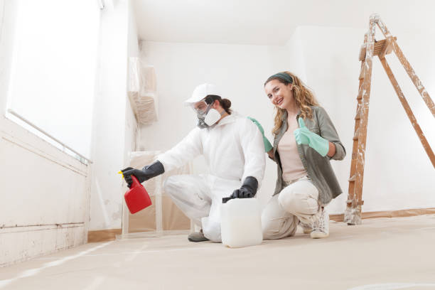 Best Black Mold Removal  in Deltona, FL