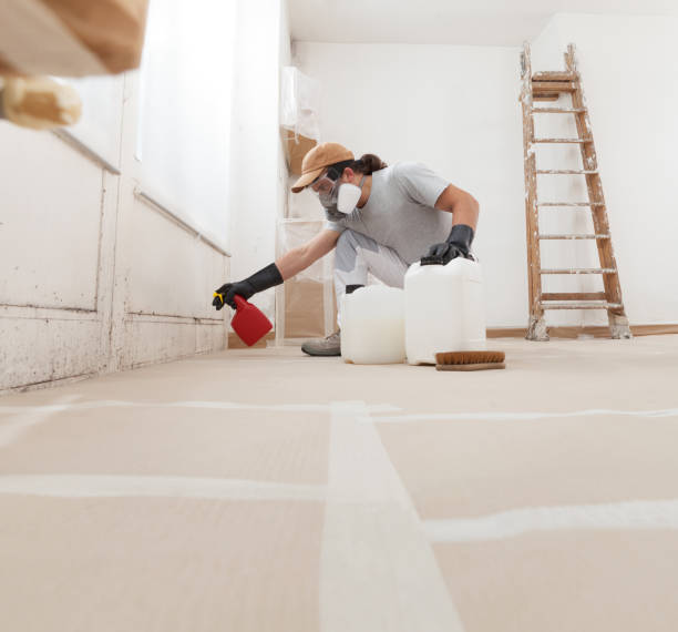 Best HVAC Mold Inspection and Cleaning  in Deltona, FL